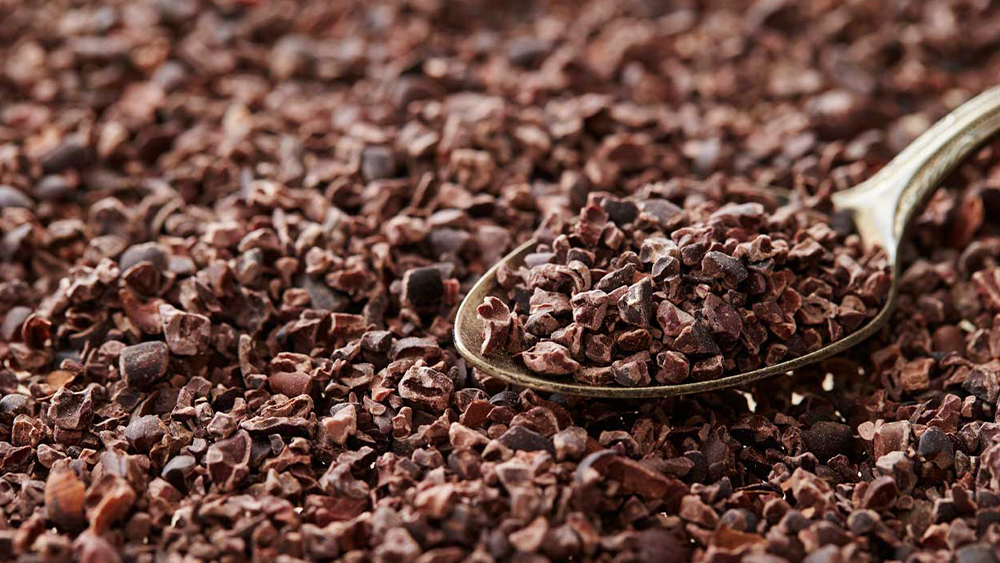 Cocoa Nibs
