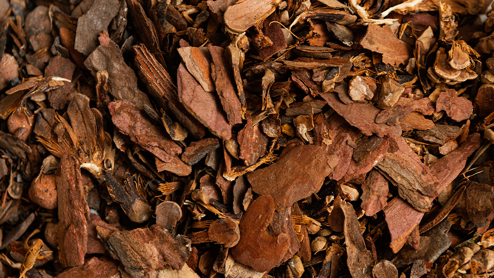 Lodhra Bark
