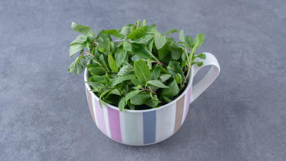 Stevia